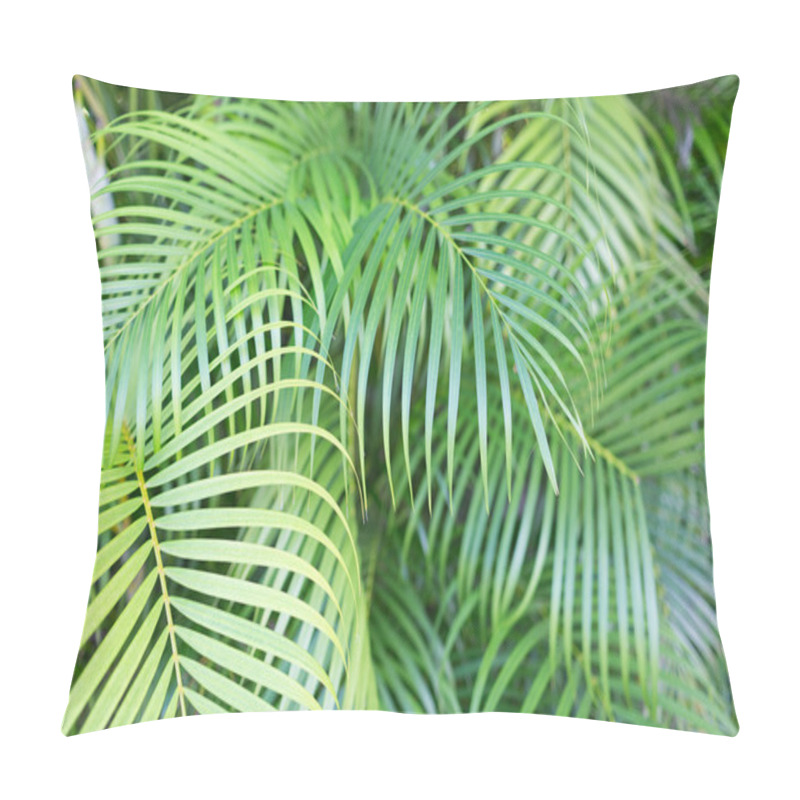 Personality  Close-up Of Palm Tree Leaves Pillow Covers