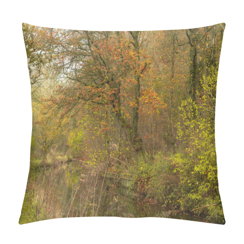 Personality  Vibrant Autumn Destination Scenics Along The Caldon Canal Waterway Near, Froghall, Staffordshire, England, UK. Pillow Covers