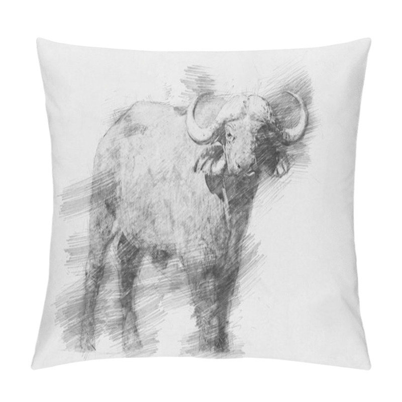 Personality  Buffalo. Sketch With Pencil Pillow Covers