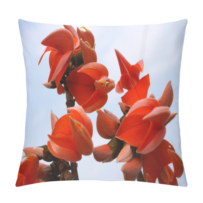 Personality  Butea Monosperma Or Palash Flower Pillow Covers