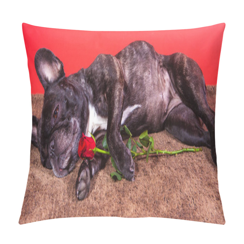 Personality  Dog Sleeping In A Brown Mat Holding A Red Rose Pillow Covers