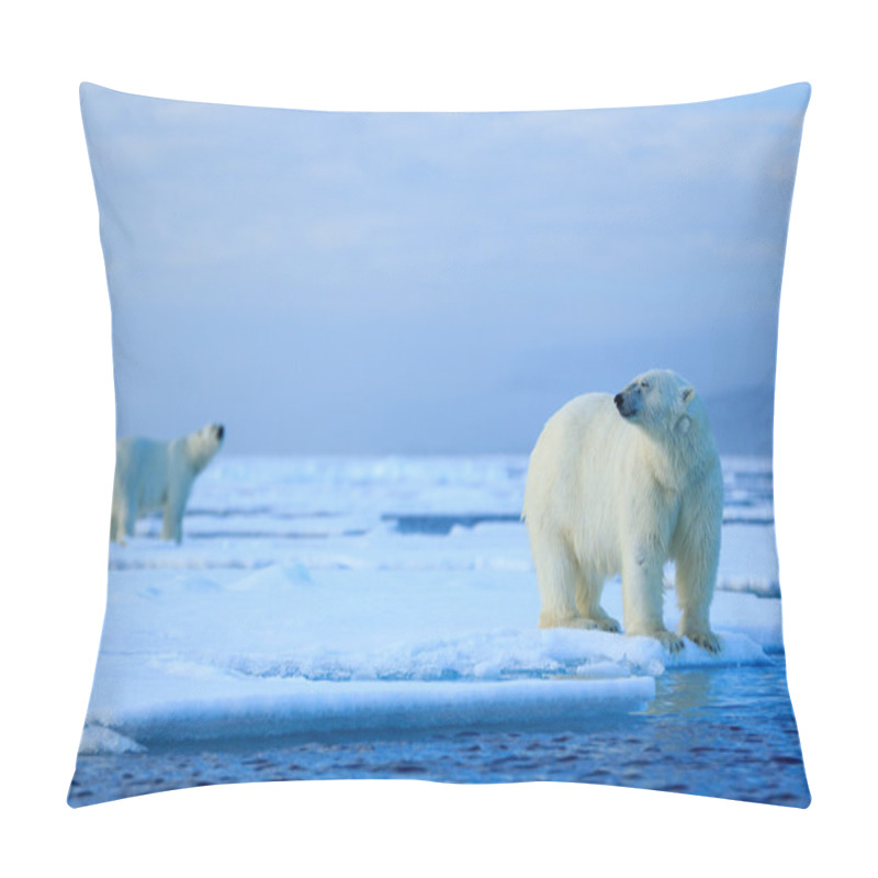 Personality  Polar Bears Couple Cuddling Pillow Covers