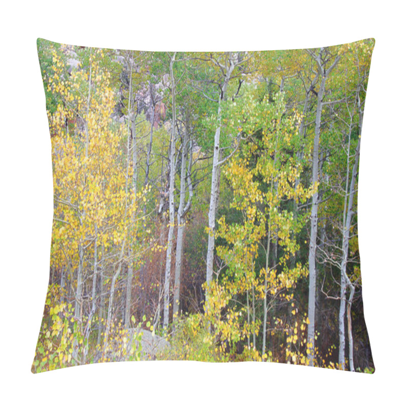 Personality  Medicine Bow National Forest Landscape Wyoming Pillow Covers