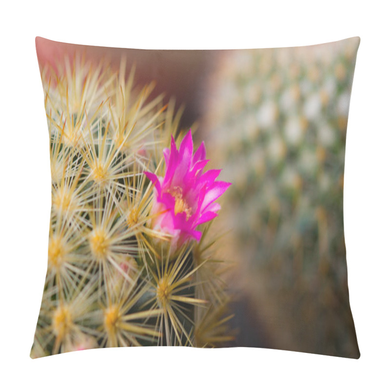 Personality  Cactus Flower Pillow Covers