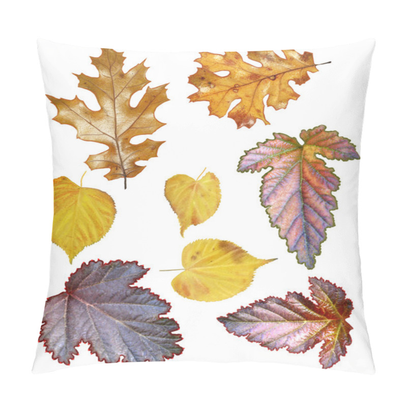 Personality  Set Of Autumn Leaves, Oak Leaves, Leaves Of Aspen Pillow Covers