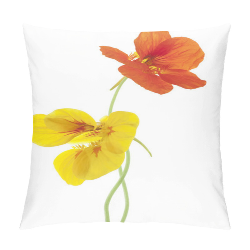 Personality  Nasturtium Pillow Covers