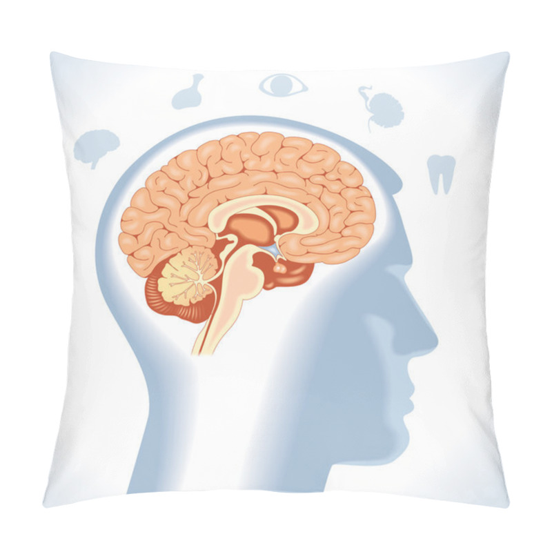 Personality  Pituitary. Modern Medical Infographics.  Pillow Covers