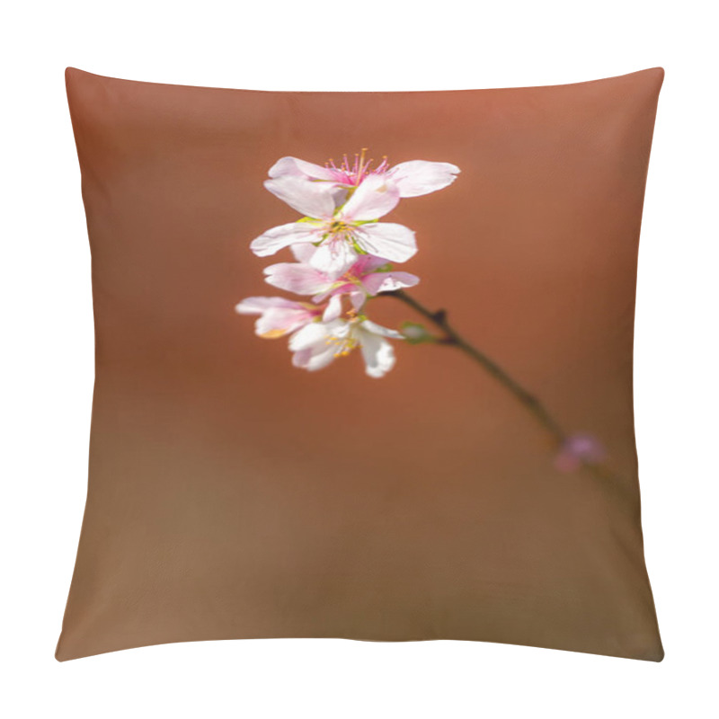 Personality  Sakura Cherry Blossoms Pillow Covers