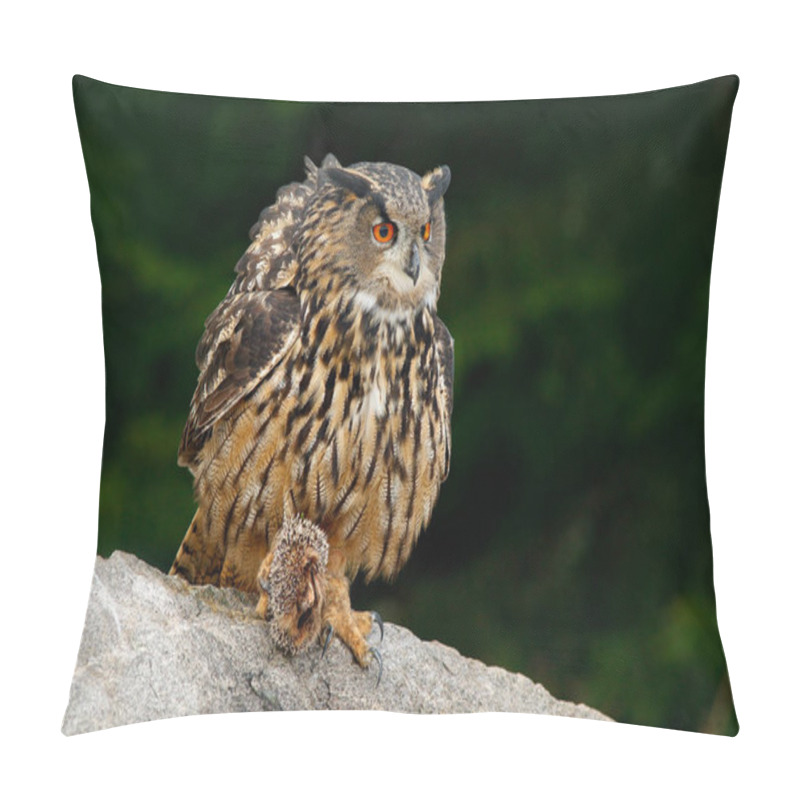 Personality  Beautiful Owl In Nature Habitat Pillow Covers