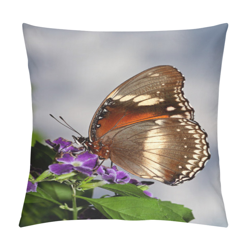 Personality  Feeding Butterfly Pillow Covers