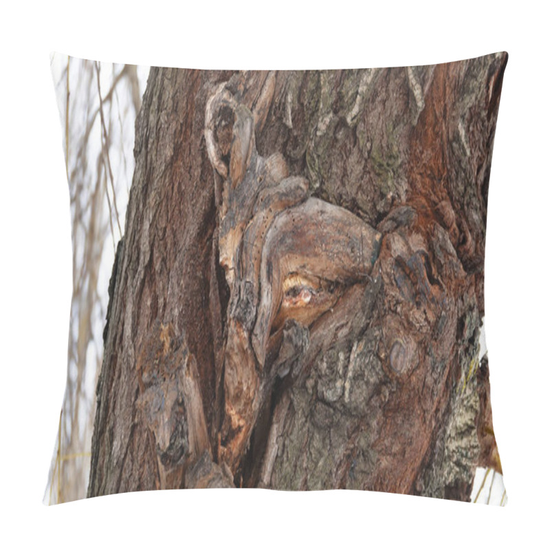 Personality  A Tree In Which, Using Fantasy, The Face Of An Animal Is Guessed Pillow Covers