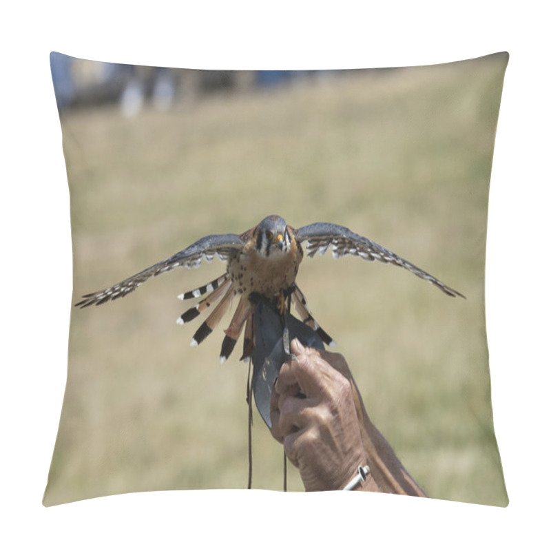 Personality  Falcon Pillow Covers