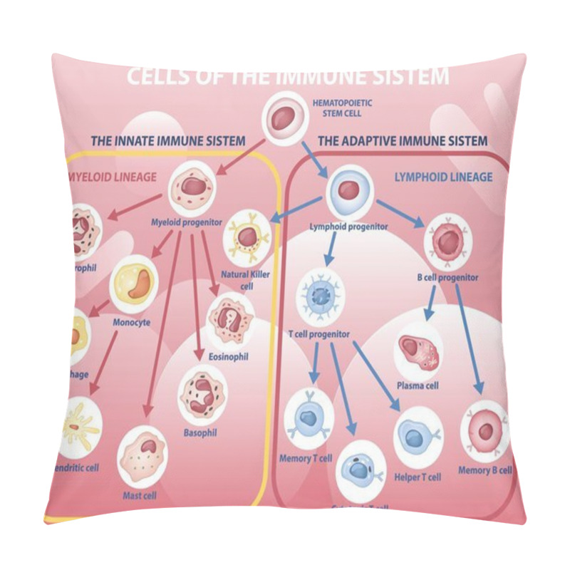 Personality  Scheme Of Appearance Of Cells Of Immune System Pillow Covers