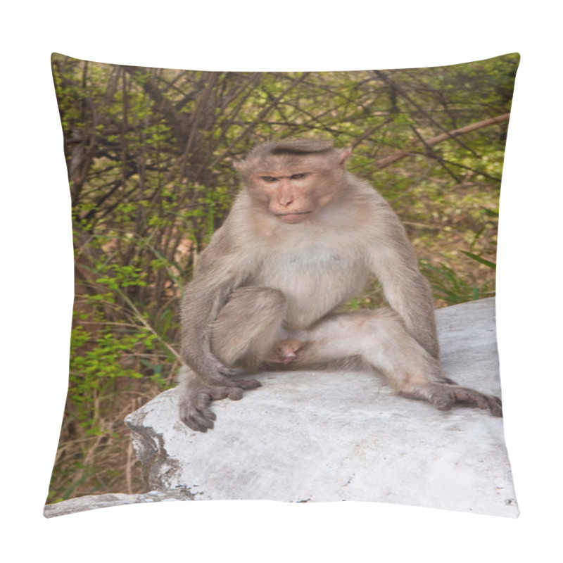 Personality  Male Bonnet Macaque Pillow Covers