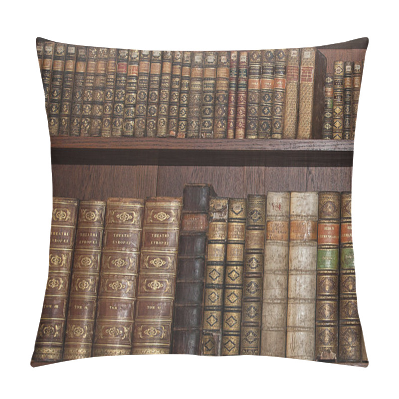 Personality  Old Books In A Wooden Library Pillow Covers