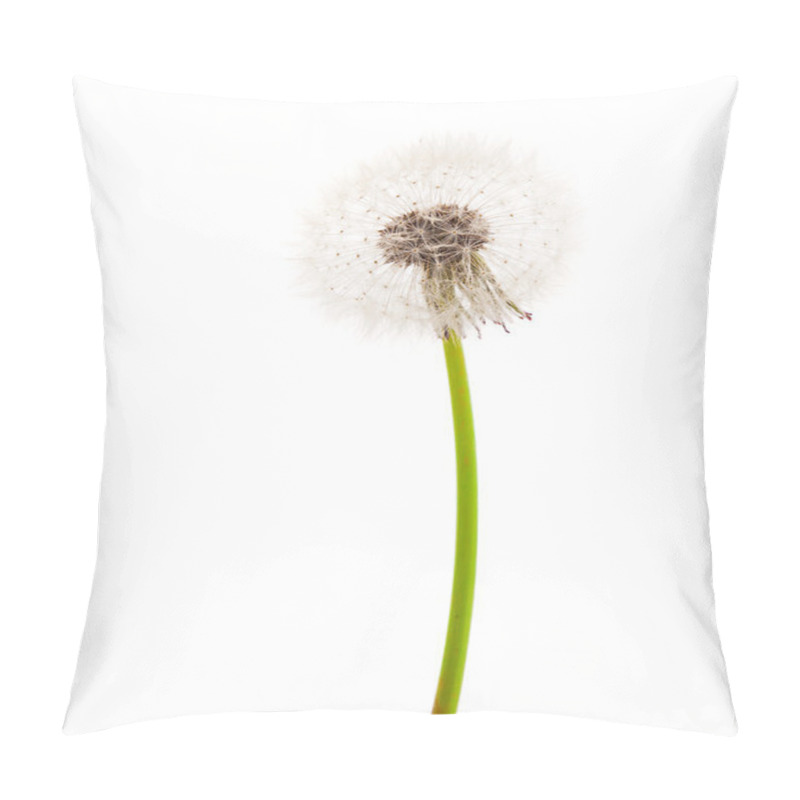 Personality  Dandelion Isolated On White Background Pillow Covers