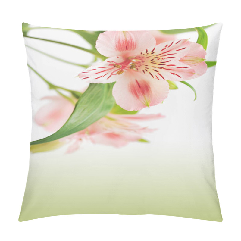 Personality  Spring Flowers On Light Background. Pillow Covers