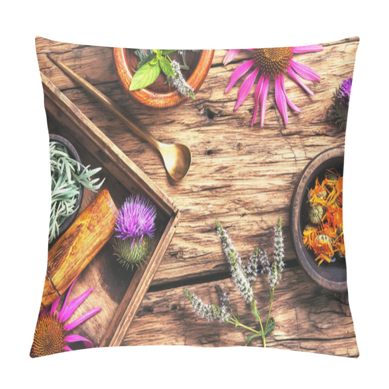 Personality  Herbal Medicinal Herbs And Plant Pillow Covers