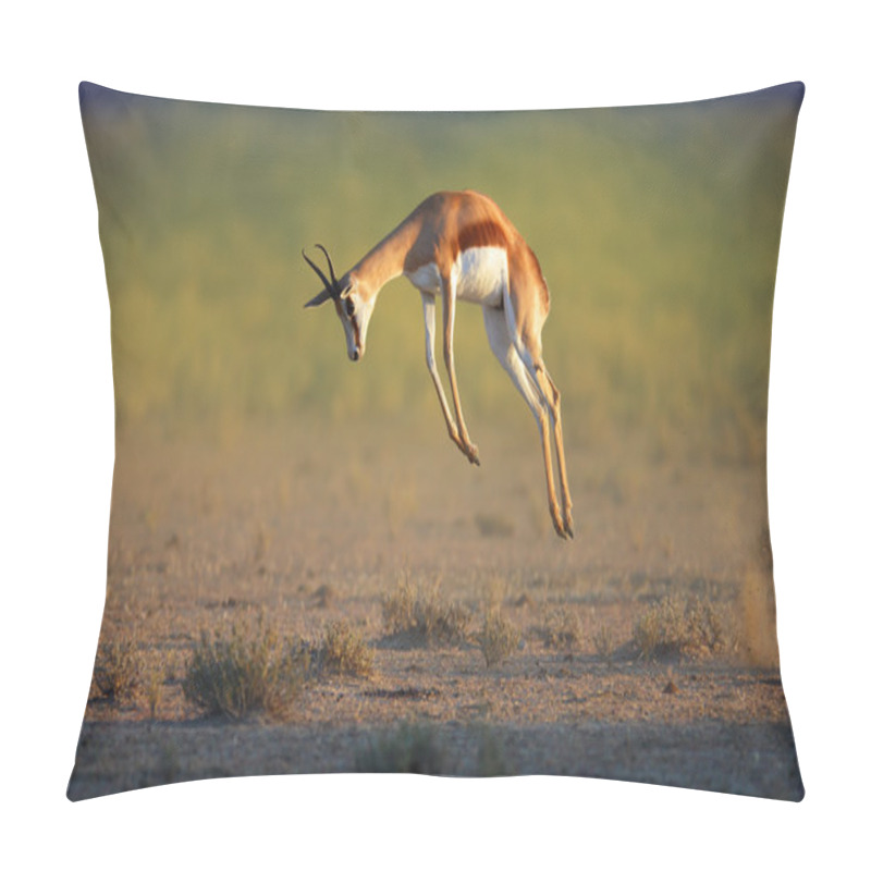 Personality  Running Springbok Jumping High Pillow Covers