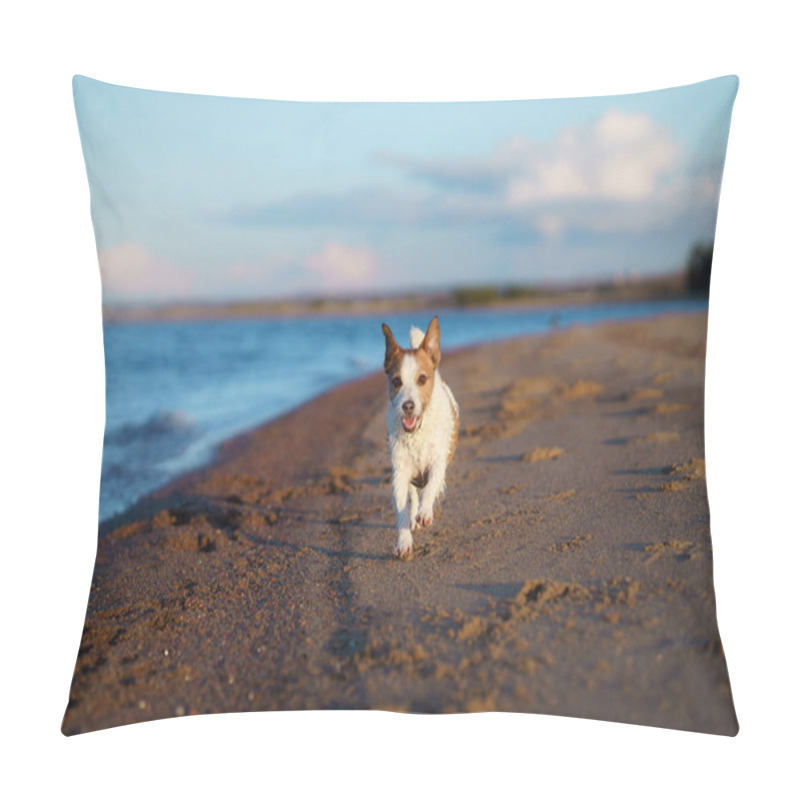 Personality  Dog On The Beach, Sunny Photo By The Water. Walking With A Pet Pillow Covers