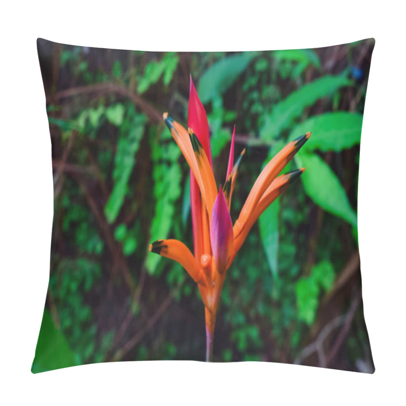 Personality  A Vibrant, Close-up View Of An Exotic Orange And Red Flower Surrounded By Lush Green Foliage, Showcasing The Beauty Of Nature In Vivid And Colorful Detail. Pillow Covers