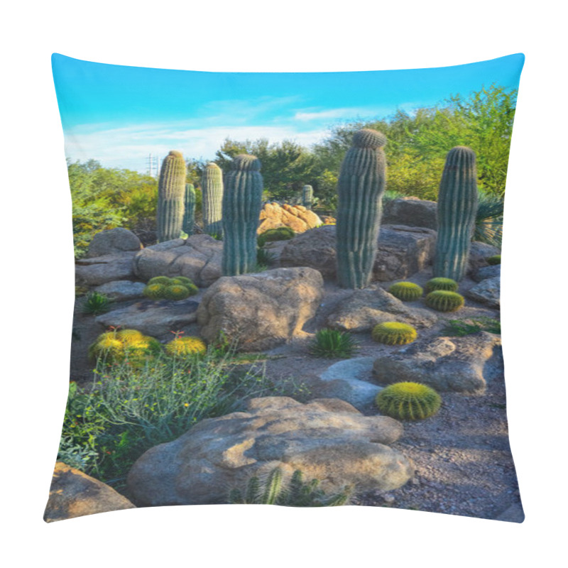 Personality  USA, PHENIX, ARIZONA- NOVEMBER 17, 2019:  A Group Of Succulent Plants Agave And Opuntia Cacti In The Botanical Garden Of Phoenix, Arizona, USA Pillow Covers