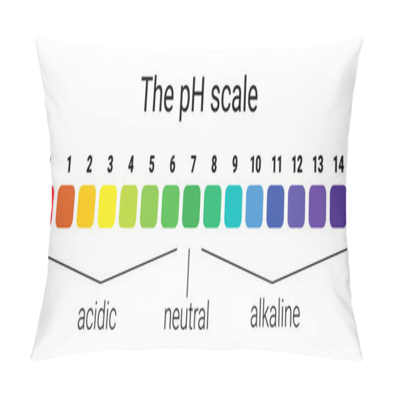 Personality  Ph Scale. Infographic Acid-base Balance. Scale For Chemical Analysis Acid Base. Pillow Covers