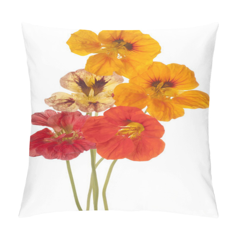 Personality  Nasturtium Flower Isolated Pillow Covers