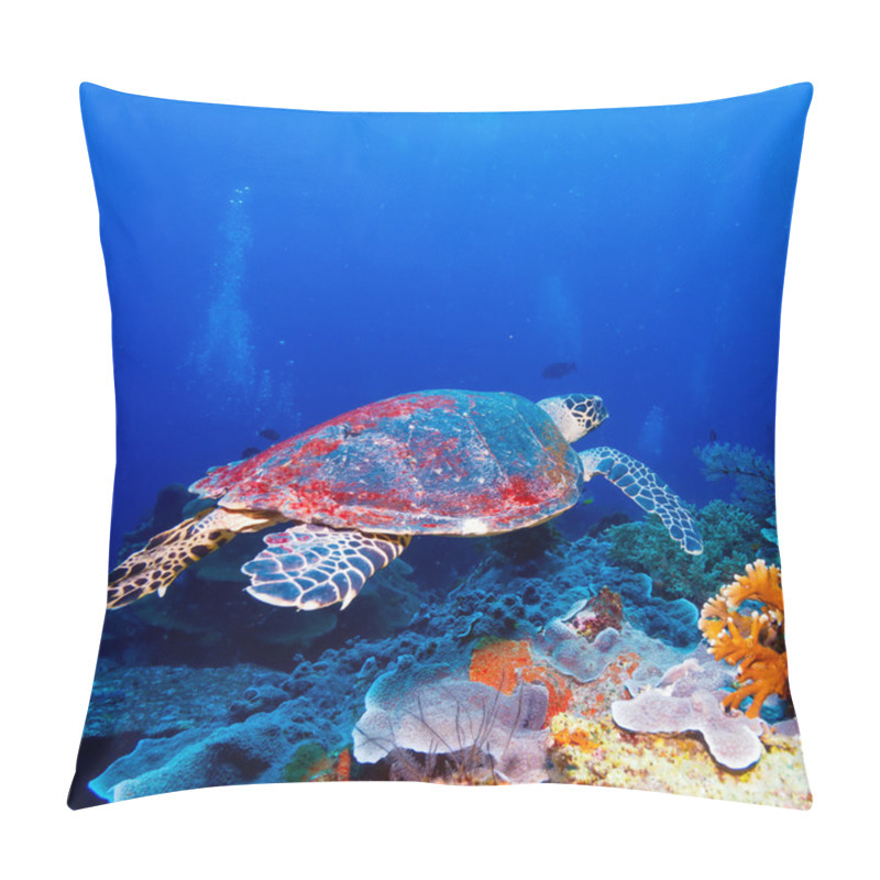 Personality  Green Sea Turtle Near Coral Reef, Bali Pillow Covers