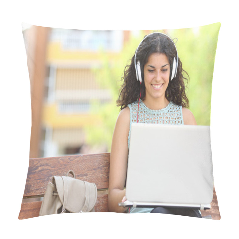 Personality  Freelancer Working With A Laptop In A Park Pillow Covers