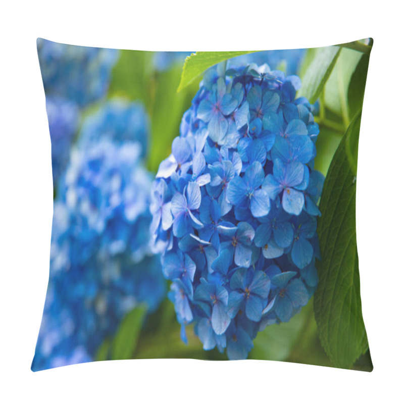 Personality  Hydrangea Flower At The Garden In Japan Rainy Day Closeup Pillow Covers