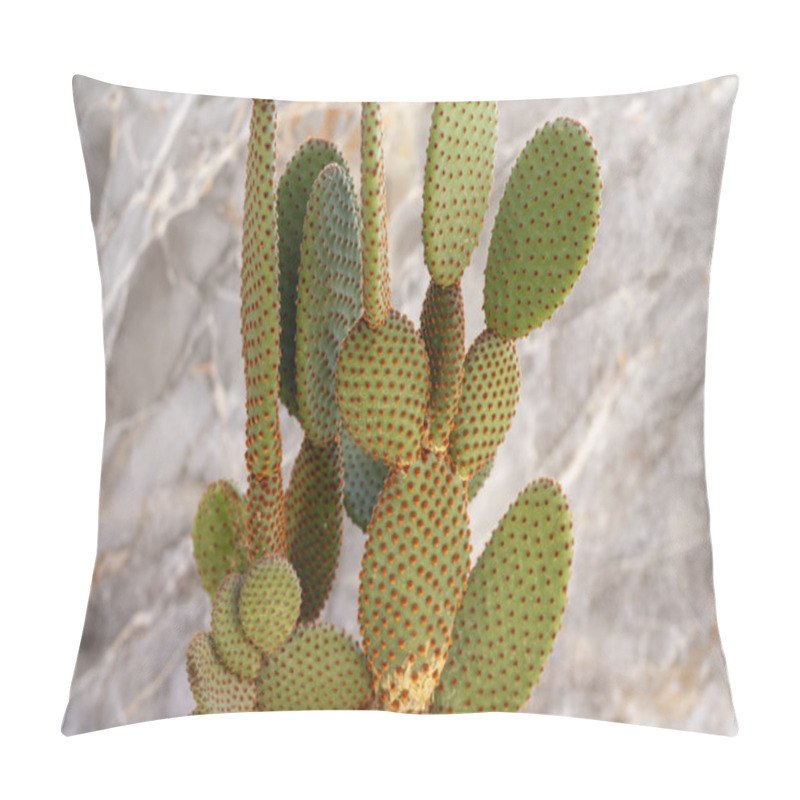 Personality  Close-up Of Opuntia Microdasys Cactus With Spiky Red Pads Pillow Covers