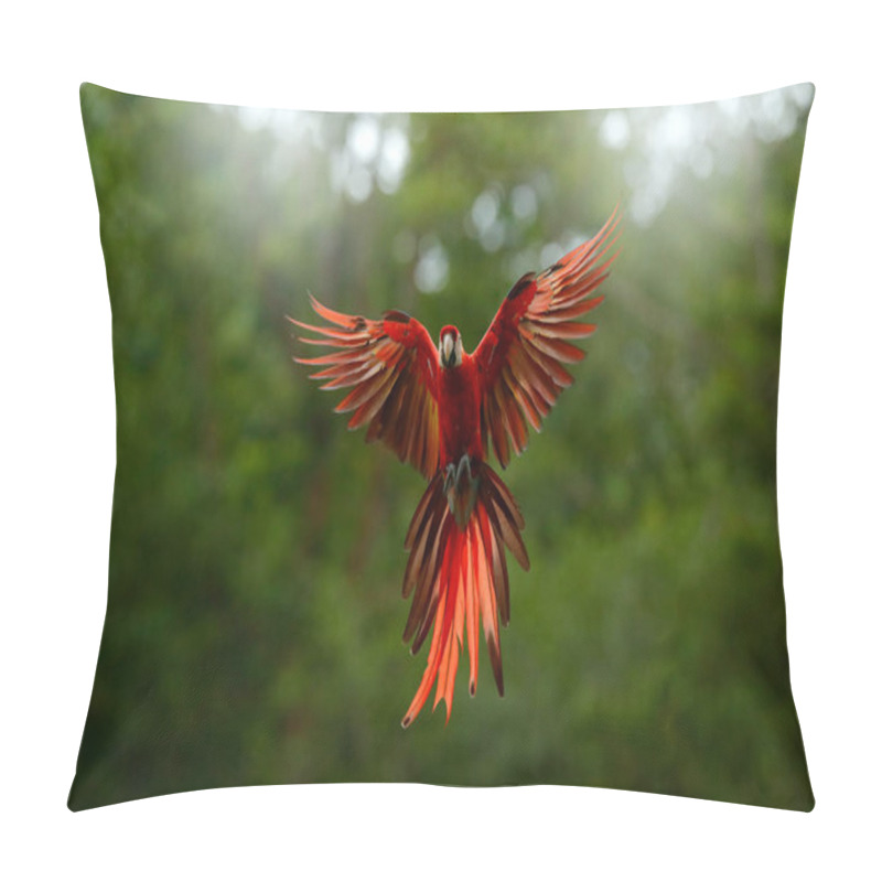 Personality  Red In Forest. Macaw Parrot Flying In Dark Green Vegetation With Beautiful Back Light, . Scarlet Macaw, Ara Macao, In Tropical Forest, Peru. Wildlife Scene From Tropical Nature. Pillow Covers