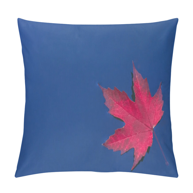 Personality  Red Leaf On Blue Water Pillow Covers