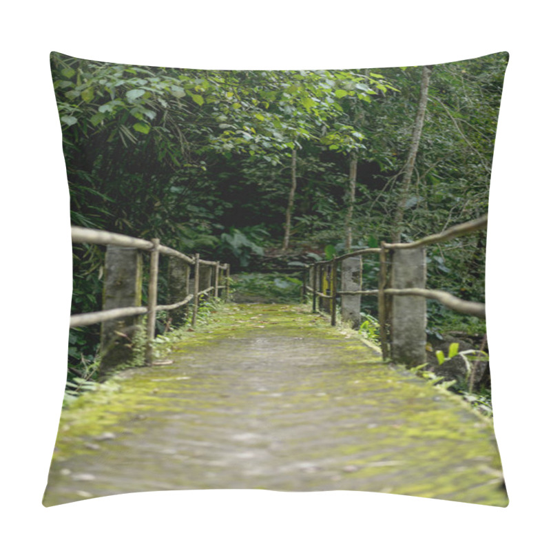 Personality  Scenic View Of Bridge And Various Trees With Green Foliage, Bali, Indonesia Pillow Covers