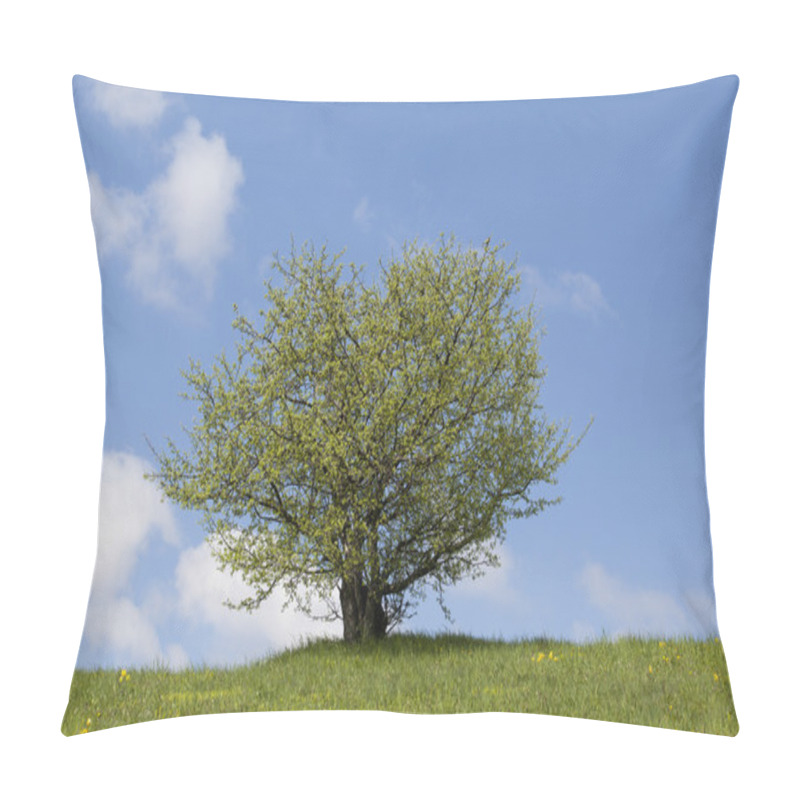 Personality  Lonely Tree, Green Field And The Blue Sky Pillow Covers