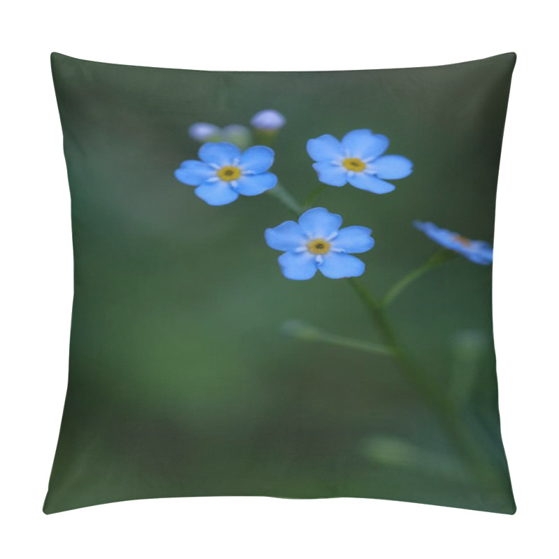 Personality  Small Blue Flowers On A Blurred Background. Forget-me-not, Fragile Petals, Delicate Flowers. Pillow Covers