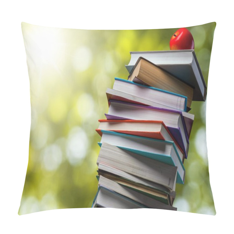 Personality  Stack Of Books Isolated Pillow Covers