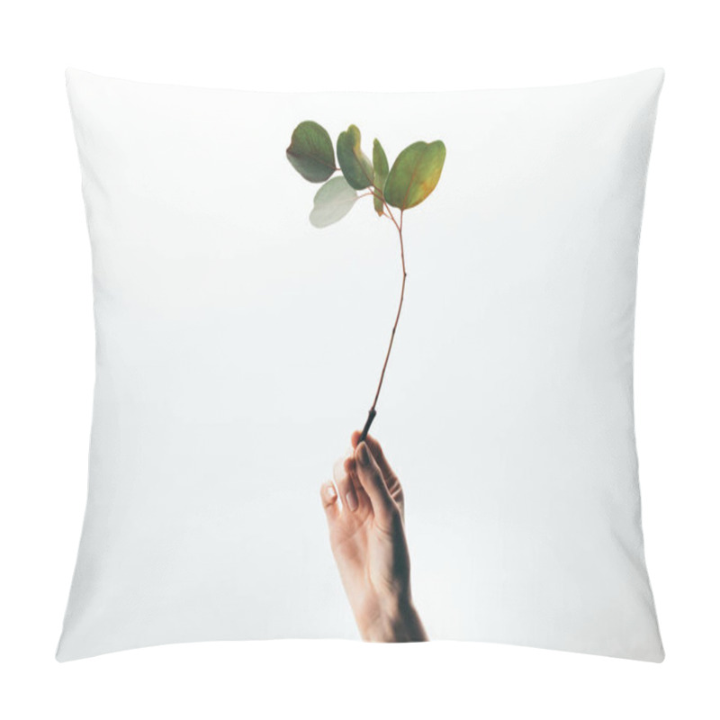 Personality  Partial View Of Woman Holding Eucalyptus Branch Isolated On White Pillow Covers