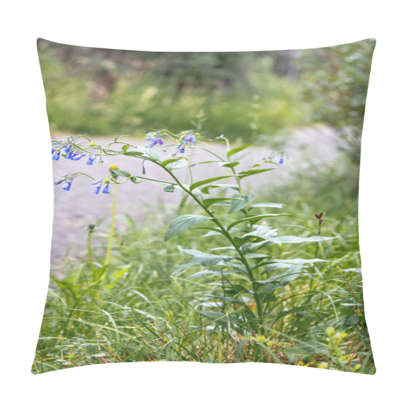 Personality  Flowering Bluebell Plant Next To A Gravel Path Pillow Covers