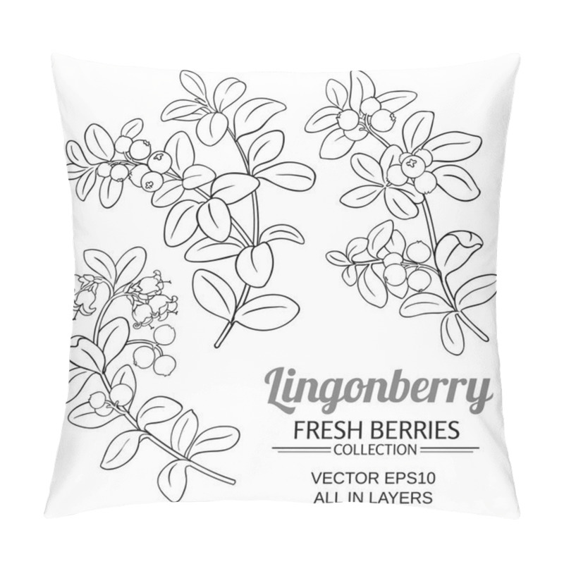 Personality  Lingonberry Plant Vector Set On White Background Pillow Covers