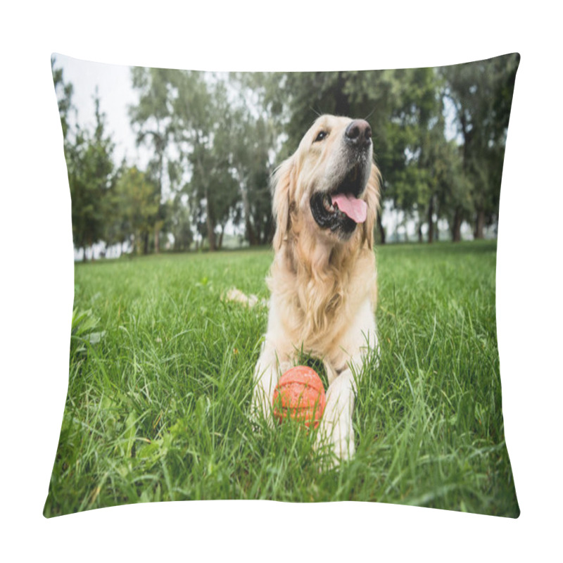 Personality  Selective Focus Of Cute Golden Retriever Dog Lying With Rubber Ball On Green Lawn Pillow Covers