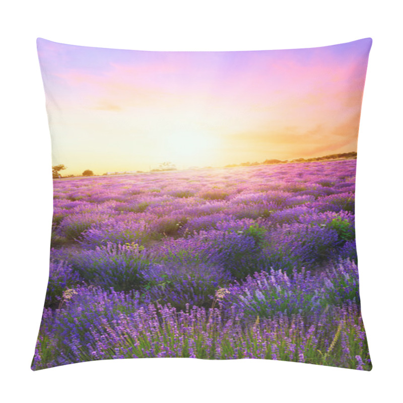 Personality  Sunset Over A Summer Lavender Field In Tihany Pillow Covers