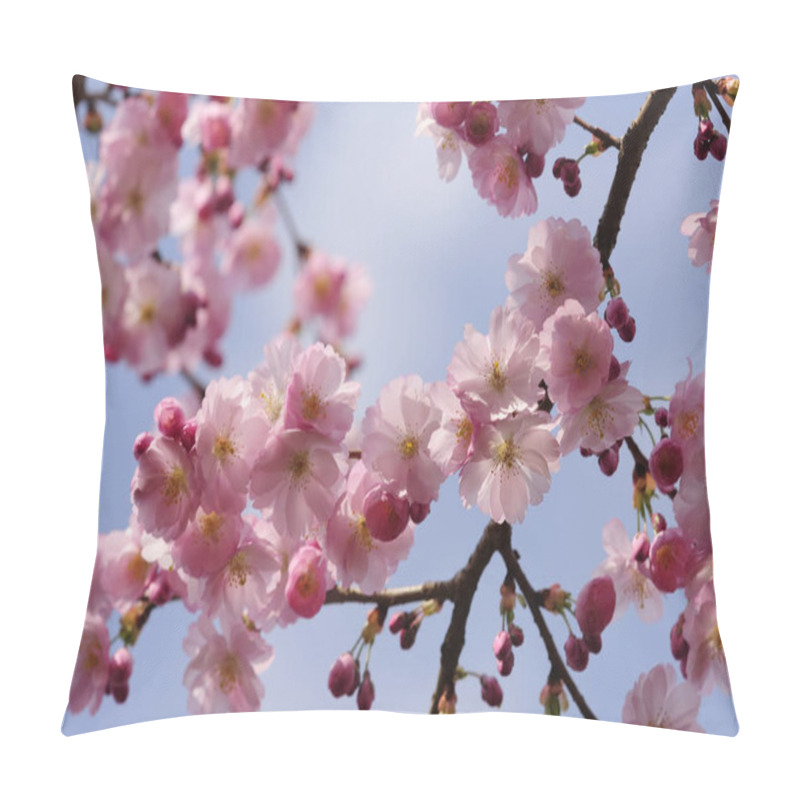 Personality  Beautiful Blooming Cherry Blossom In Spring Pillow Covers