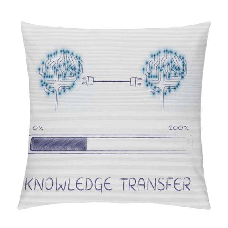 Personality  Concept Of Knowledge Transfer Pillow Covers