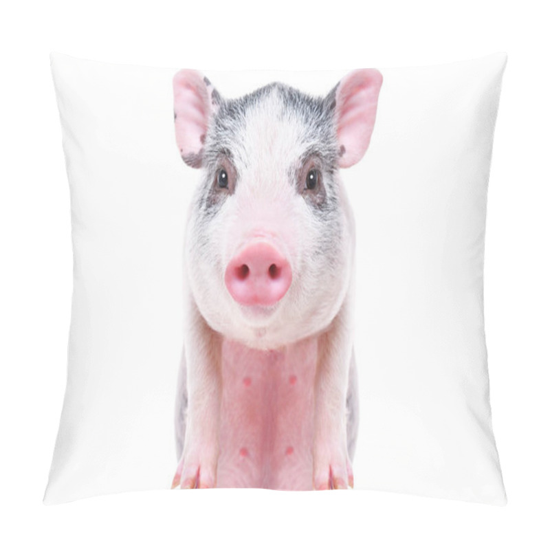 Personality  Portrait Of A Cute Funny Little Pig, Closeup, Isolated On White Background Pillow Covers