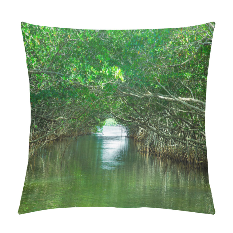 Personality  Eco-tourism Mangroves Everglades Pillow Covers