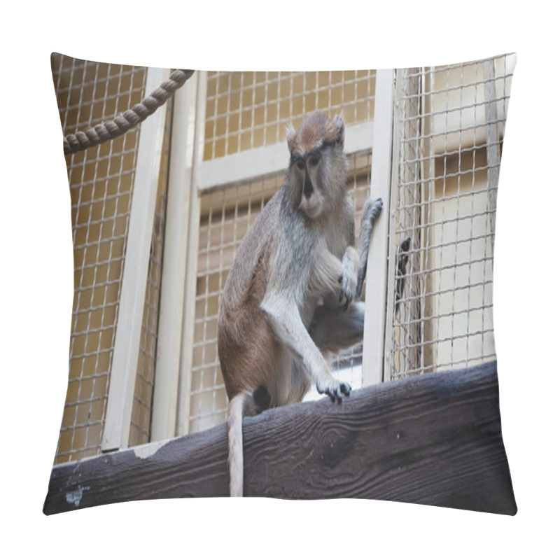 Personality  Macaque Sitting Near Metallic Cage In Zoo  Pillow Covers