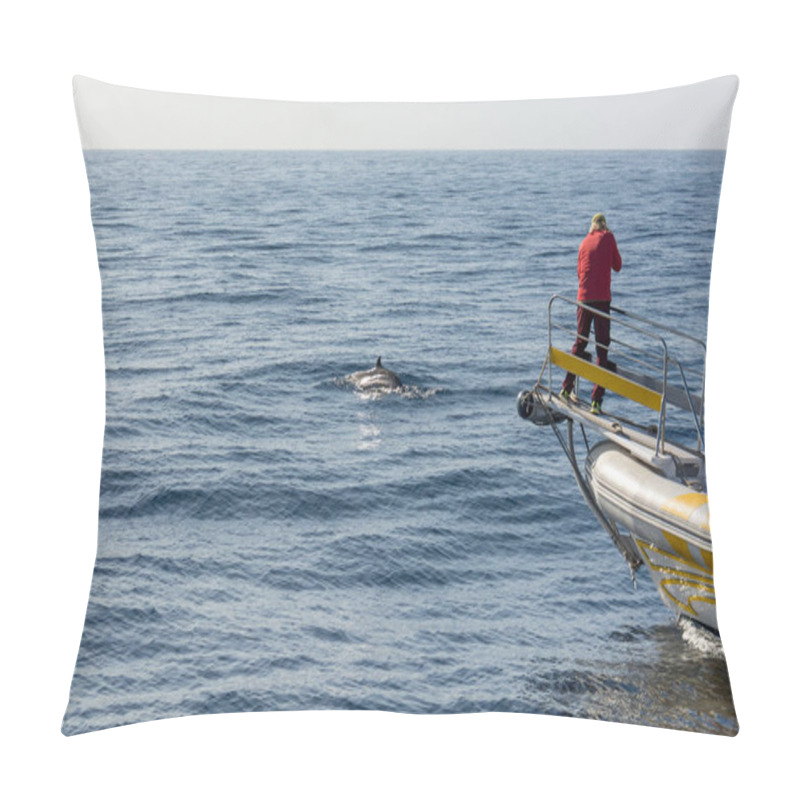 Personality  Marine Biologist Doing Research And Photographing Whales. Pillow Covers