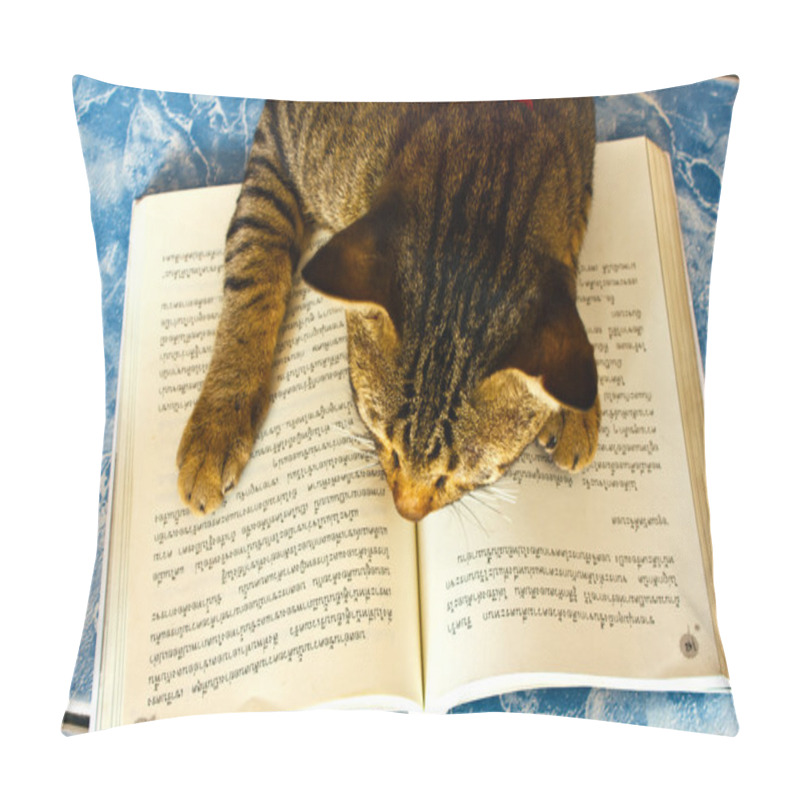 Personality  Lucky With Book - Not To Play But To Learn Pillow Covers